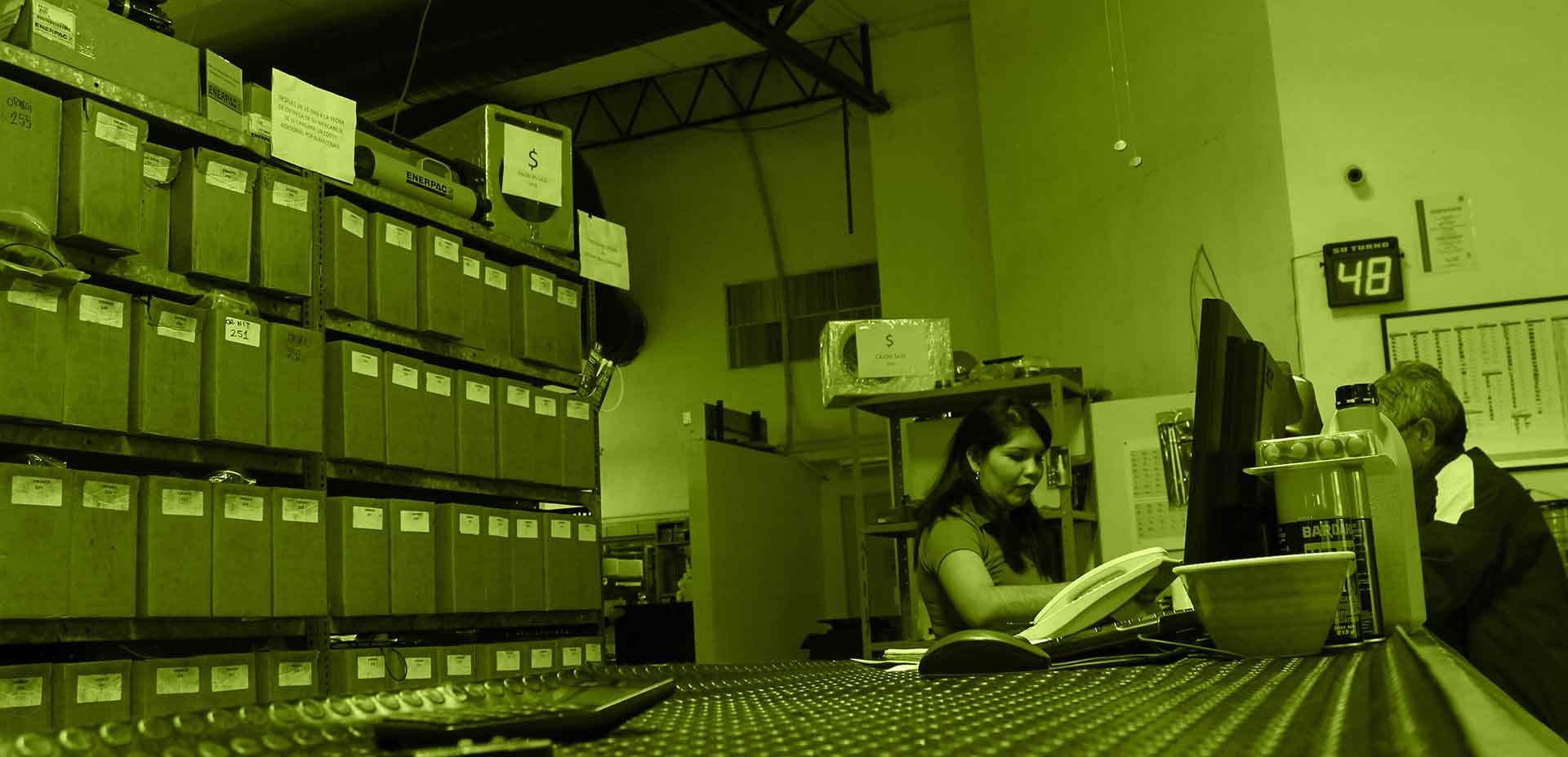 Asesoría técnica en sellos y empaques